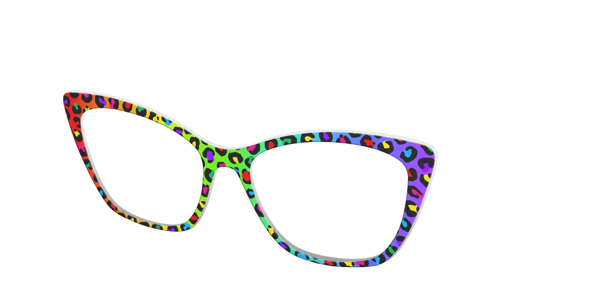 The Rainbow Cheetah