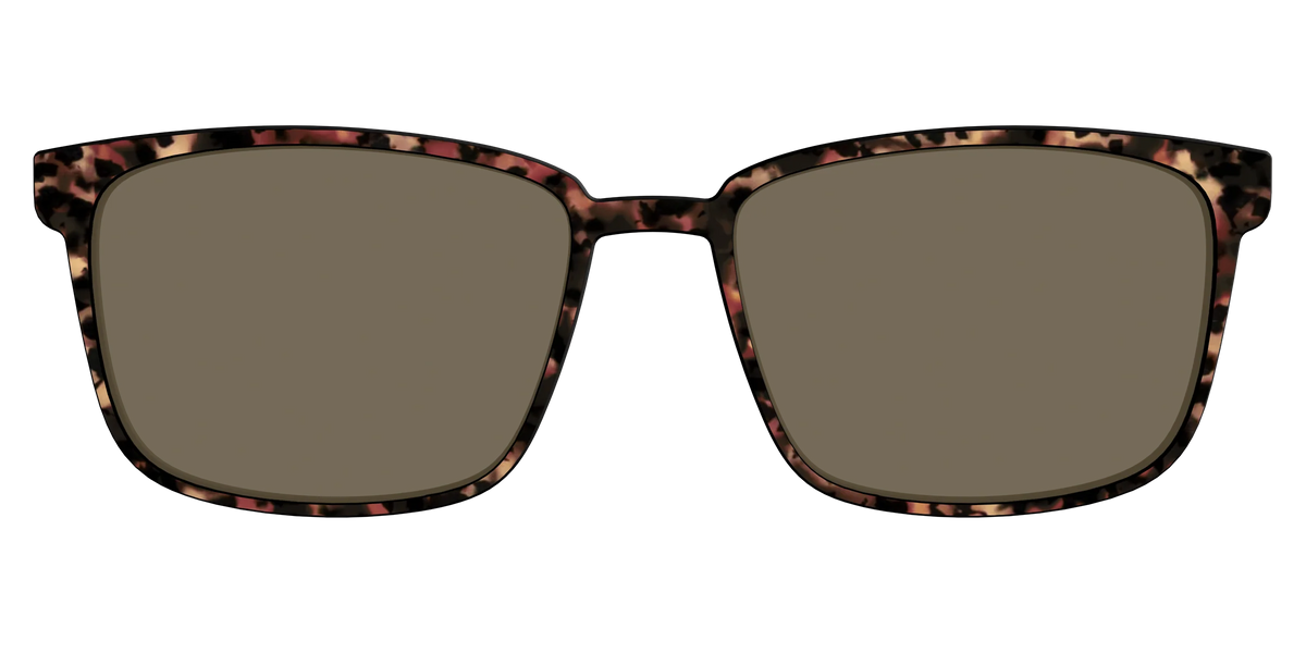 The Polarized Sienna Tortoise Sun Top