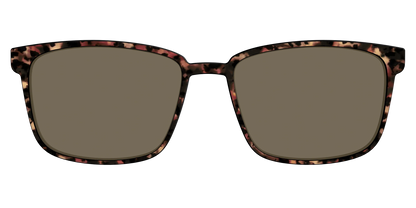 The Polarized Sienna Tortoise Sun Top
