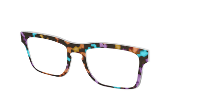 The Summer Tortoise