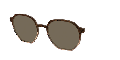 The Polarized Dark Oak Tortoise Split Sun Top