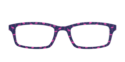 The Navy Flamingos
