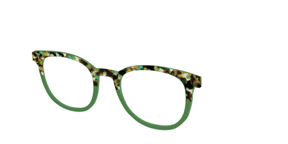 The Forest Tortoise Crystal Split
