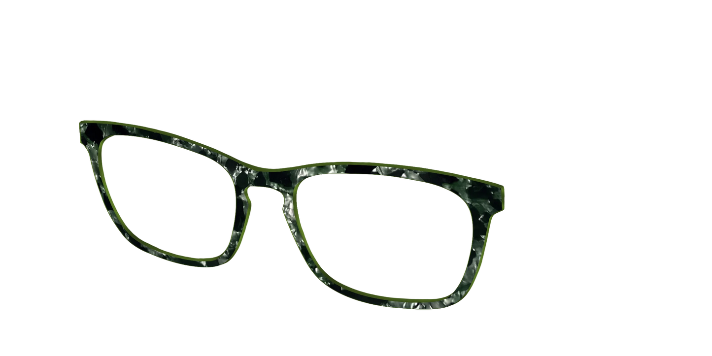 The Olive Pearl Tortoise
