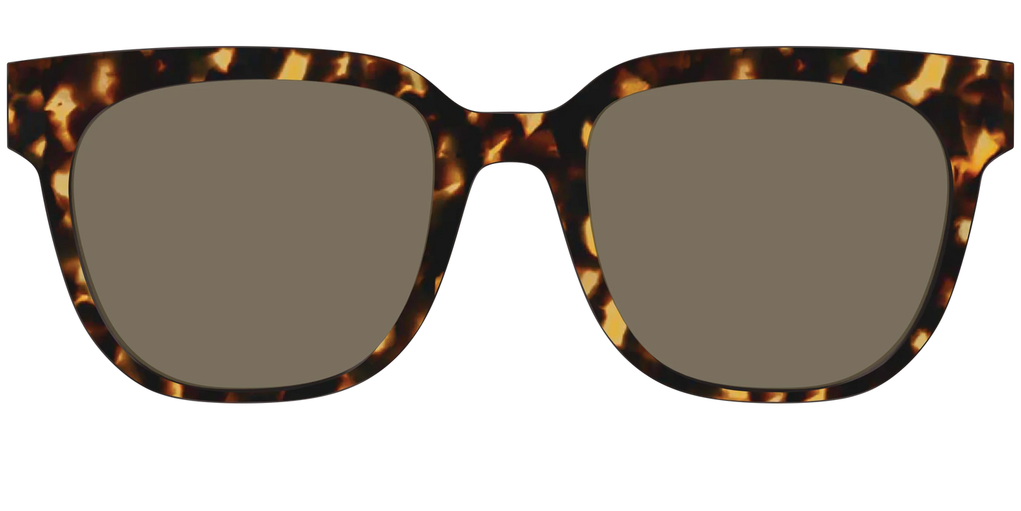 The Non-Polarized Tortoise Sun Top