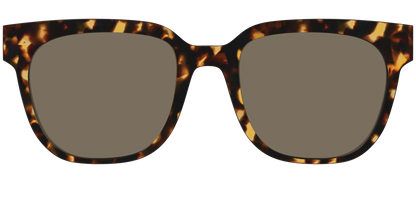 The Non-Polarized Tortoise Sun Top