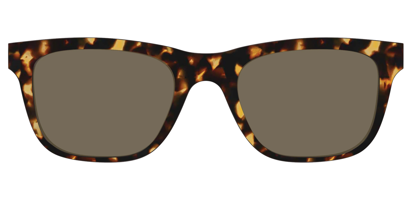 The Non-Polarized Tortoise Sun Top