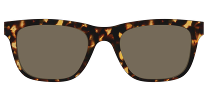 The Non-Polarized Tortoise Sun Top