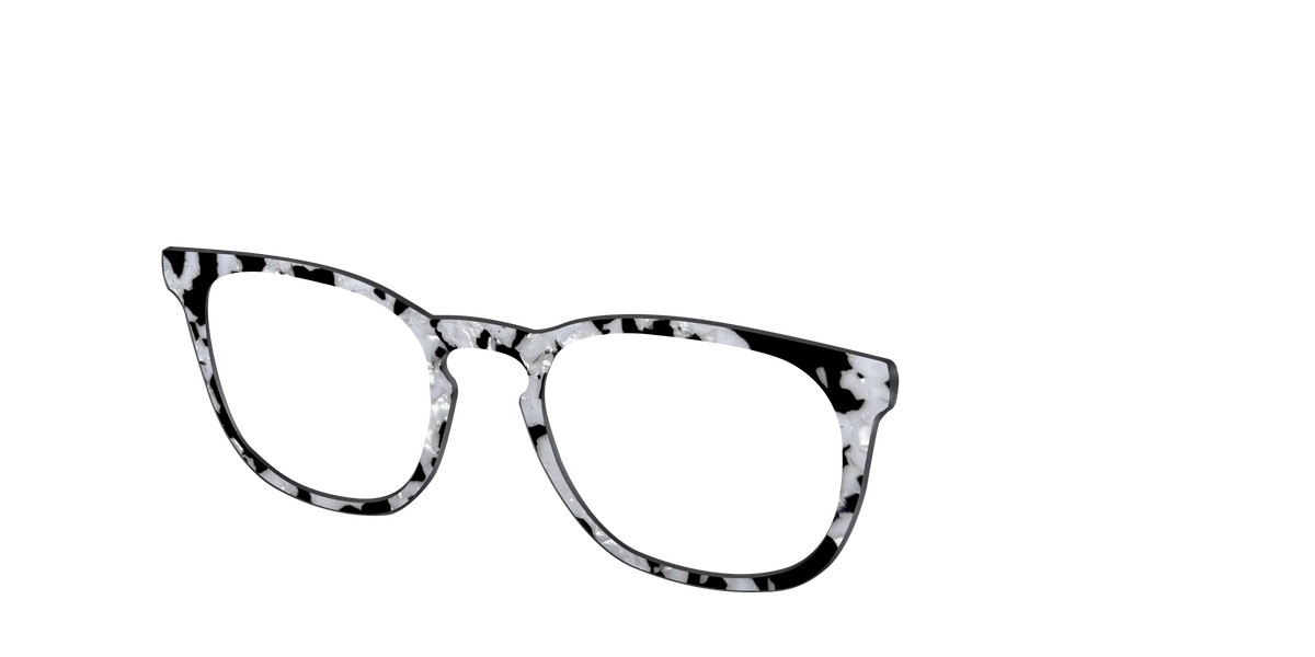 The Black & White Pearl Tortoise