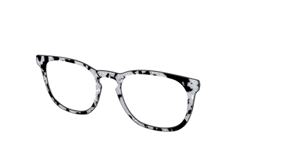 The Black & White Pearl Tortoise