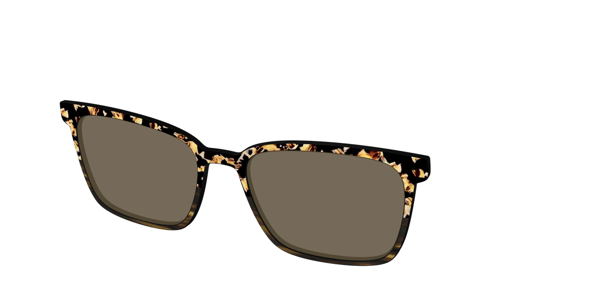 The Polarized Caramel Tortoise Horn Split Sun Top