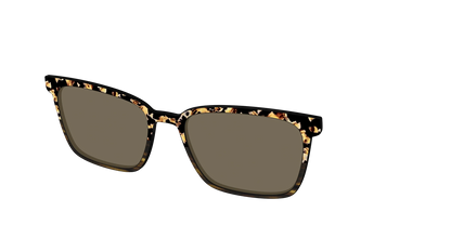 The Polarized Caramel Tortoise Horn Split Sun Top