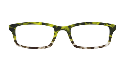 The Avocado to Ivory Tortoise