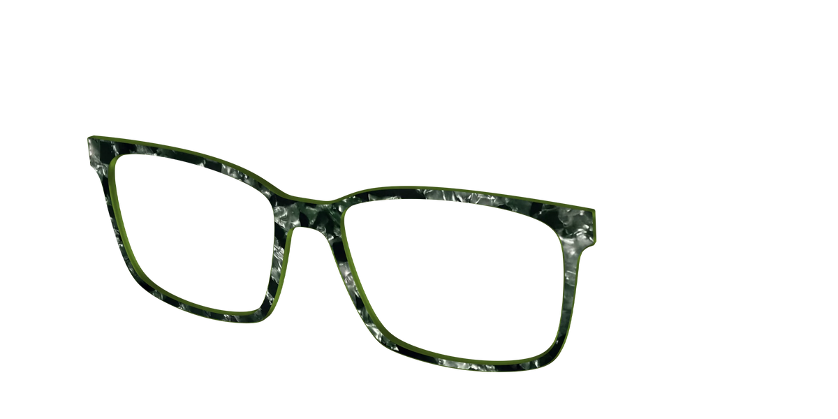 The Olive Pearl Tortoise