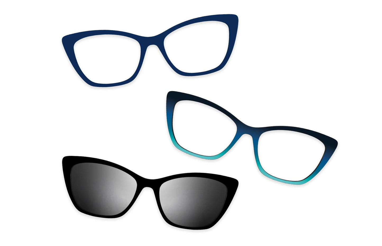 Blue Tortoise - Set