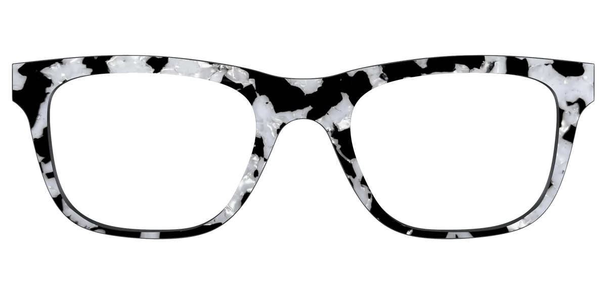 The Black & White Pearl Tortoise