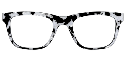 The Black & White Pearl Tortoise