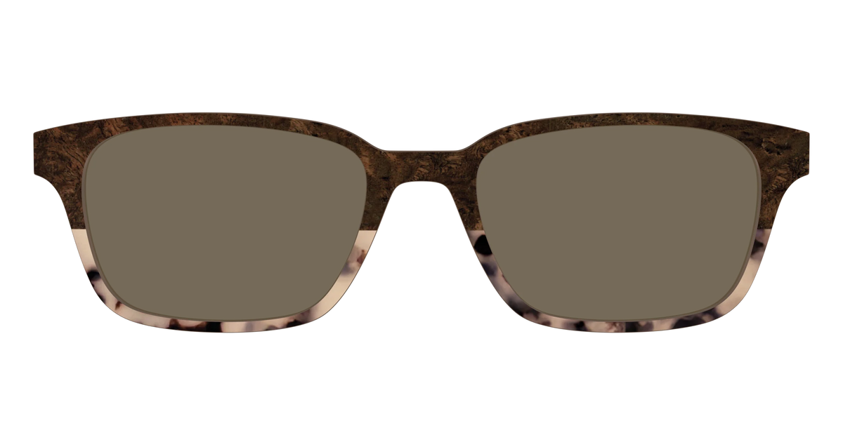 The Polarized Dark Oak Tortoise Split Sun Top