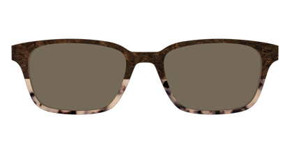 The Polarized Dark Oak Tortoise Split Sun Top