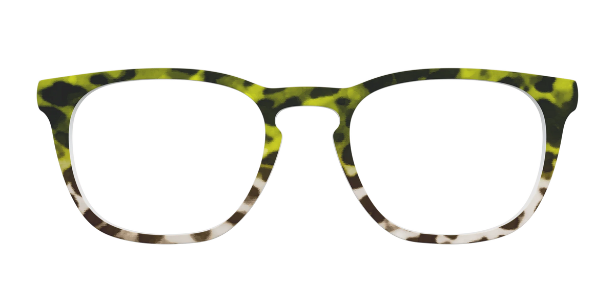 The Avocado to Ivory Tortoise