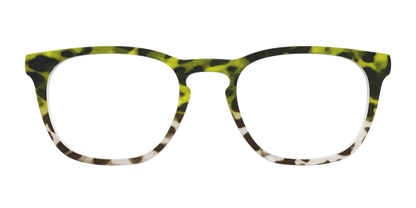 The Avocado to Ivory Tortoise