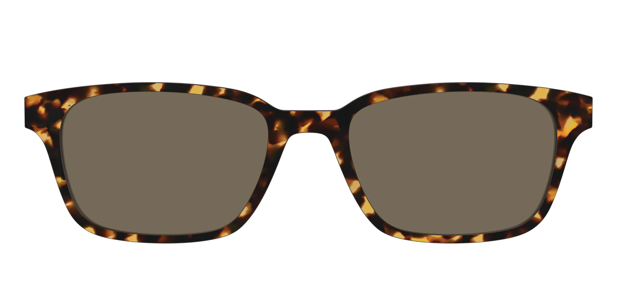The Non-Polarized Tortoise Sun Top