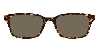 The Non-Polarized Tortoise Sun Top