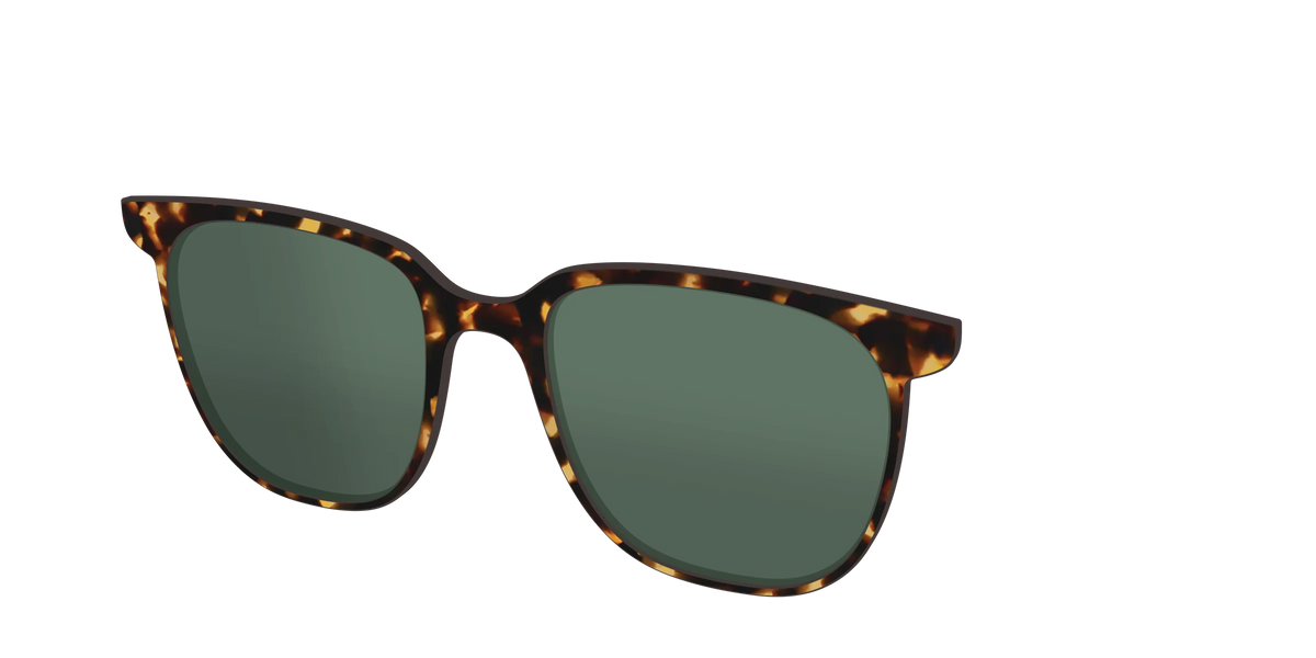 The Non-Polarized Green Tortoise Sun Top