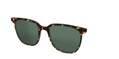 The Non-Polarized Green Tortoise Sun Top