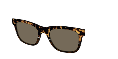 The Polarized Chic Tortoise Split Sun Top
