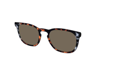 The Polarized Gray & Amber Tortoise Sun Top