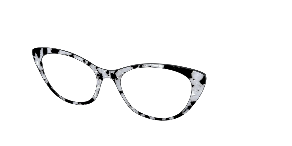 The Black & White Pearl Tortoise