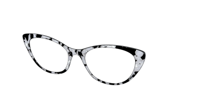 The Black & White Pearl Tortoise