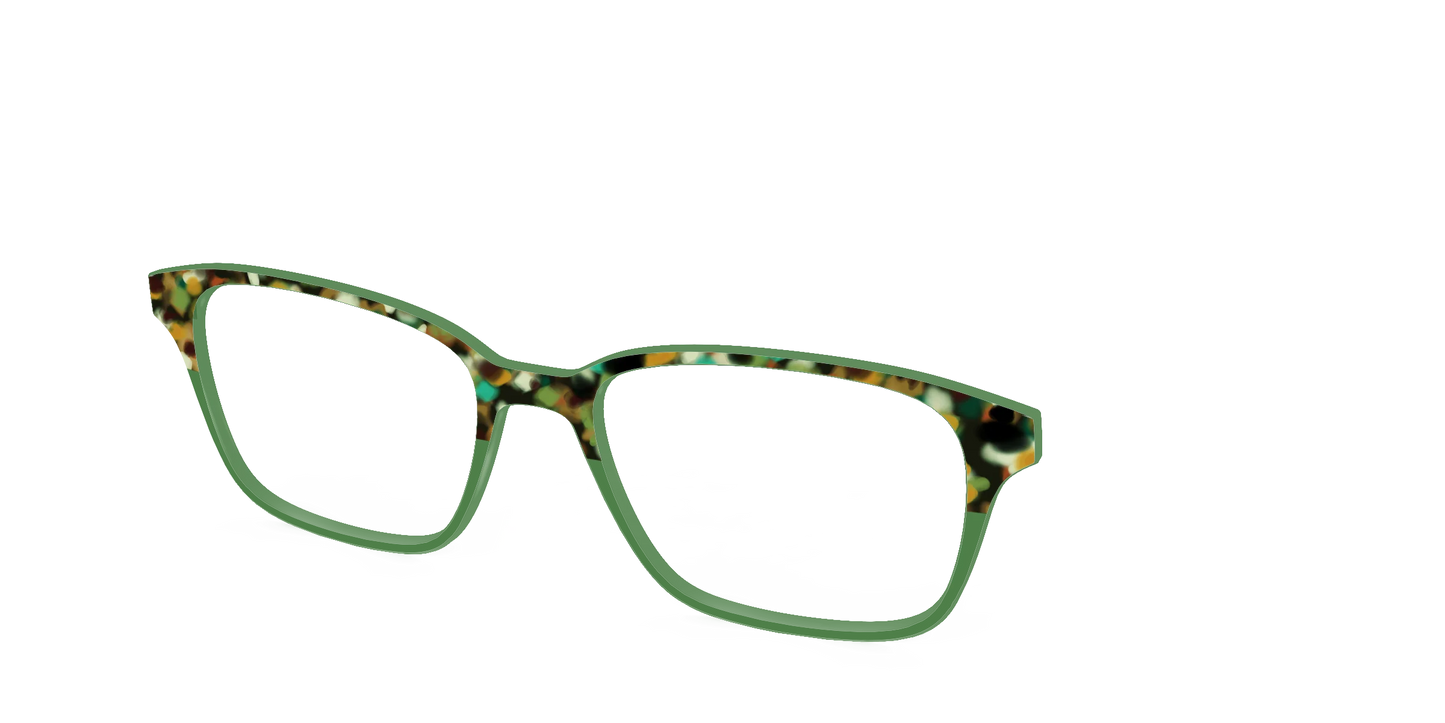The Forest Tortoise Crystal Split