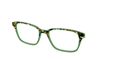 The Forest Tortoise Crystal Split