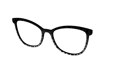 The Black Cheetah