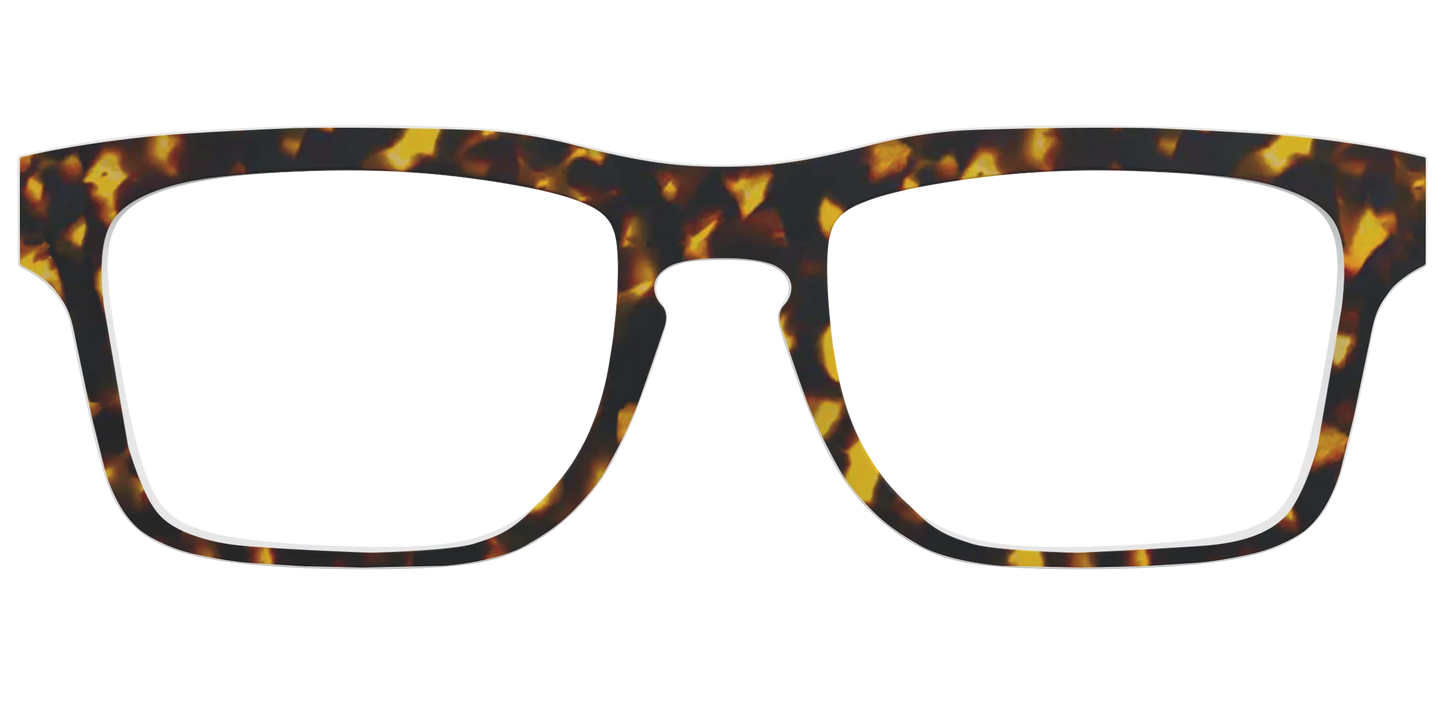 The Tortoise