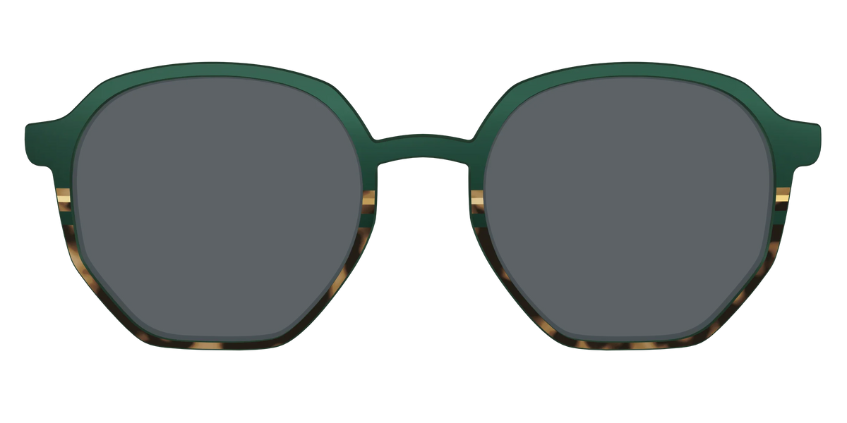 The Polarized Spruce Tortoise Sun Top