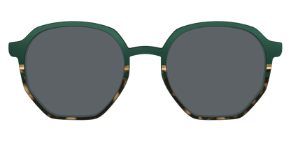 The Polarized Spruce Tortoise Sun Top