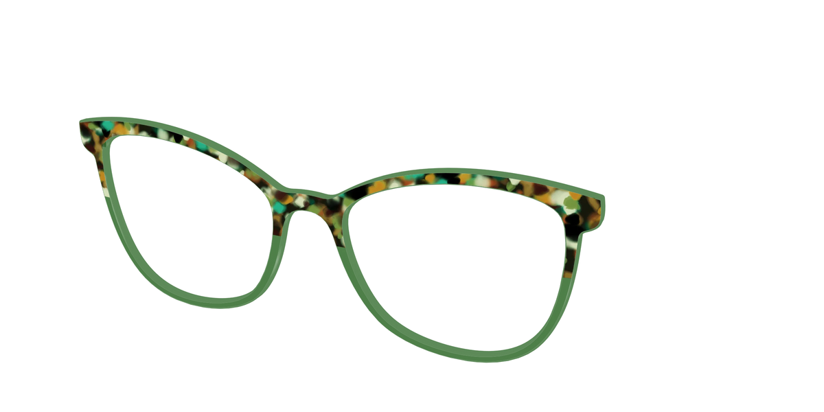 The Forest Tortoise Crystal Split
