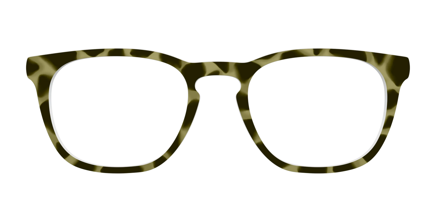The Olive Tortoise
