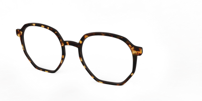 The Tortoise