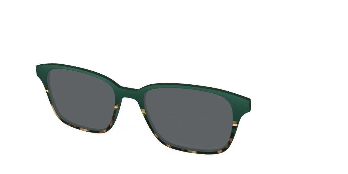 The Polarized Spruce Tortoise Sun Top