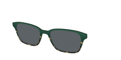The Polarized Spruce Tortoise Sun Top
