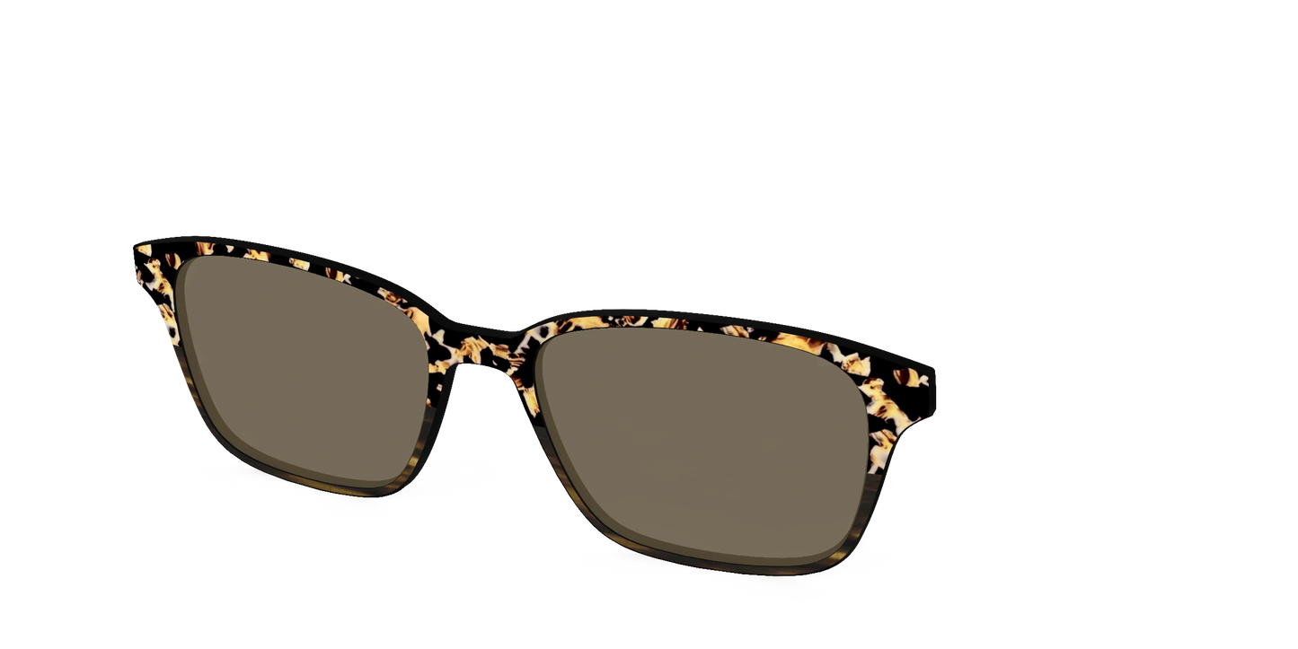The Polarized Caramel Tortoise Horn Split Sun Top