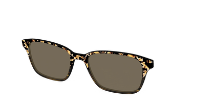 The Polarized Caramel Tortoise Horn Split Sun Top