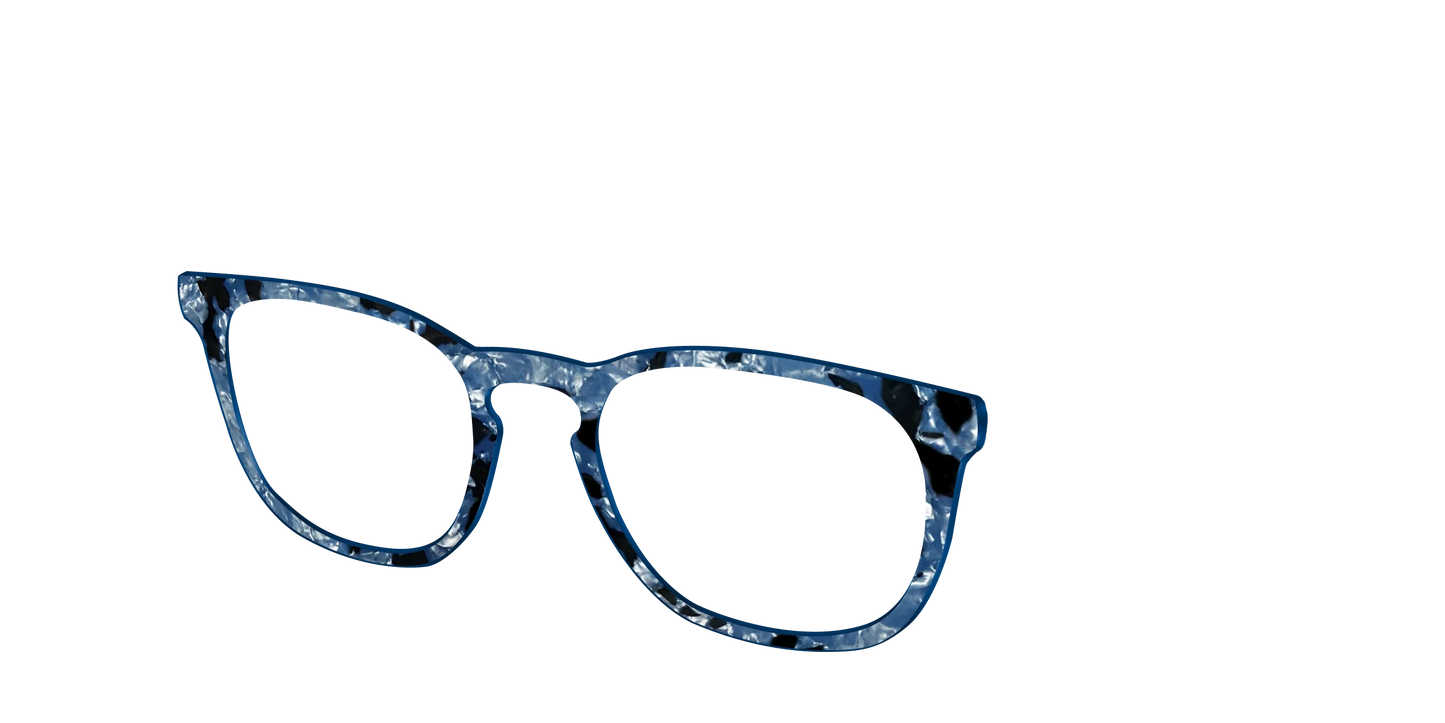 The Midnight Blue Pearl Tortoise