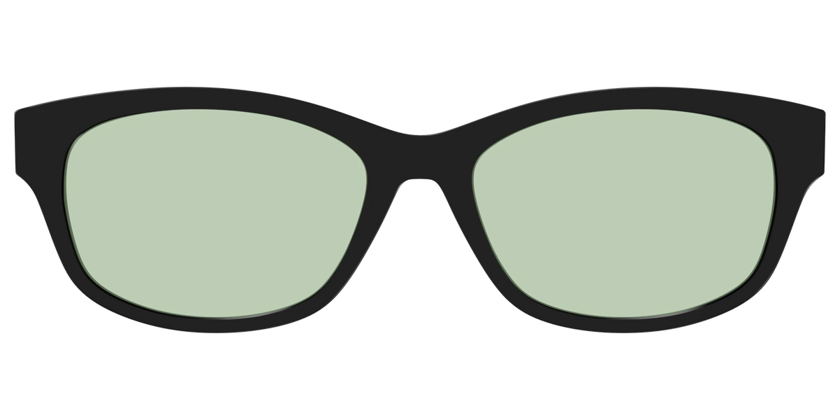 The Black With Sage Green Lens
