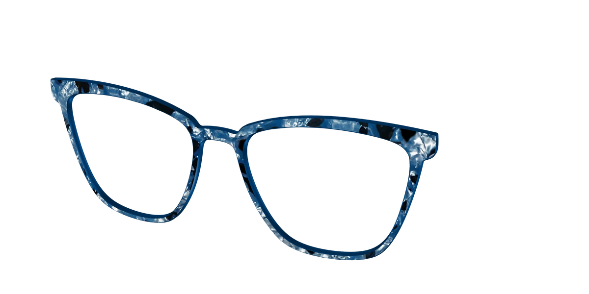 The Midnight Blue Pearl Tortoise