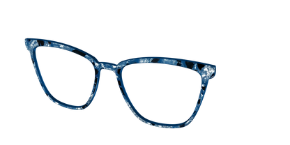 The Midnight Blue Pearl Tortoise
